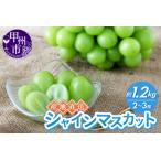 ふるさと納税 産地直送やみつきシャインマスカット 約1.2kg（2〜3房）【2026年発送】（RC）B12-435 シャインマスカット フルーツ 山梨県甲州市