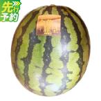 金色羅皇 1玉入り