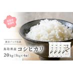 ふるさと納税 【先行予約】【9月中旬以降発送】<新米・令和7年産> 真空パック包装 鳥取県産コシヒカリ20kg (5kg×4袋) 令和7年産 Elevati.. 鳥取県南部町