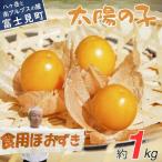 フルーツほおずき 太陽の子 1kg