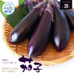 茄子 1本約70g 約20本入り