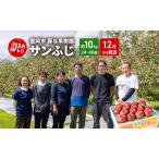 ふるさと納税 盛岡から「農で人をつなぐ」藤与果樹園:《訳アリ》サンふじ10kg 藤与果樹園 訳アリ 不揃い 傷 規格外 フルーツ 果物 旬のフルーツ.. 岩手県盛岡市