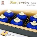 Blue Jewel ブルージュエル Gift