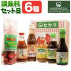 調味料セットA 光食品 調味料