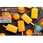 ふるさと納税 【ふるさと納税】 ギフト アイス 愛媛県産 みかん 100% 冷やしみかん 合計20本 セット 無添加 砂糖不使用 アイスキャンディ 国産 .. 香川県三豊市