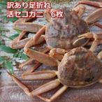 活き訳あり足折れ 日本海産親ガニセコガ二