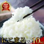 米 定期便 10kg×12回