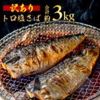 ふるさと納税 訳あり トロ 塩サバ フィレ 約 3kg 鯖 鯖 鯖 鯖 鯖 鯖 鯖 鯖 鯖 鯖 鯖 飯田商店 千葉県銚子市