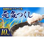 令和6年度産 元気つくし 10kg