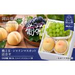 ふるさと納税 桃 ぶどう 2026年 白桃 晩生種 2玉 シャイン マスカット 1房 合計約1.0kg もも 葡萄 岡山県産 国産 フルーツ 果物 ギフト 岡山県里庄町