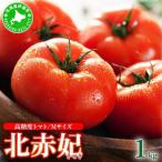 高糖度 トマト 北赤妃 きせき 約1kg