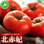 高糖度 トマト 北赤妃 きせき 約1kg