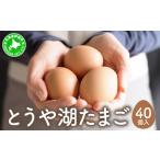 fu.... налог Hokkaido date город ... озеро яйцо 40 штук входит Tama . Hokkaido date город 