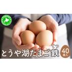 fu.... налог Hokkaido date город ... озеро яйцо металлический 40 штук входит Tama . Hokkaido date город 