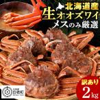 生オオズワイガニ メス 2kg