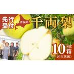 ふるさと納税 2025年9月下旬発送予定【先行受付】千両梨 10kg箱(23玉前後) 北海道産 余市町産 シャキシャキとした食感 サッパリとした甘み 季節.. 北海道余市町