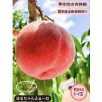 ふるさと納税 丹精込めて育てた甲州市の桃 約2kg(5〜9玉)【2025年発送】(HCF)A08-845 【桃 もも モモ 令和7年発送 期間限定 山梨県産 甲州市.. 山梨県甲州市
