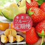 SC0628 自然の恵み 春 夏 秋フルーツ定期便2026