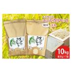 BN003-1 新米 コシヒカリ精米5kg
