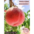 ふるさと納税 丹精込めて育てた甲州市の桃 約3kg(9〜12玉)【2025年発送】(HCF)B13-845 【桃 もも モモ 令和7年発送 期間限定 山梨県産 甲州.. 山梨県甲州市