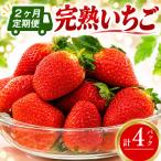 いちご 2パック