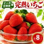 完熟 いちご 4パック