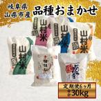白米 品種おまかせ 5kg×6回