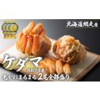 ふるさと納税 <網走産>ケダマ≪毛がにまるまる1尾全部盛り×2尾入≫ ※着日指定不可 【 毛蟹 むき身 網走 蟹 かに カニ カニむき身 むき身.. 北海道網走市