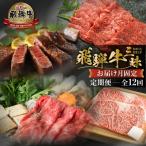 12回 固定月 厳選 お届け 飛騨牛 三昧 肉 牛肉