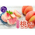 ふるさと納税 朝採れ!甲州市産桃 約3kg(8〜12玉)【2025年発送】(RC)B15-436 【桃 もも モモ 令和7年発送 期間限定 山梨県産 甲州市 フルー.. 山梨県甲州市
