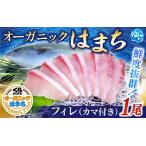 ふるさと納税 ハマチ 【くら寿司】 オーガニックはまち 1尾 フィレ (カマ付き）※2025年12月下旬〜順次発送【kura002A】  和歌山県由良町