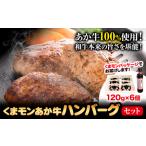 ふるさと納税 くまモン あか牛 ハンバーグ 120g×6個 あか牛のたれ付き 熊本県産 あか牛 あかうし 三協畜産 《30日以内に出荷予定(土日祝.. 熊本県津奈木町