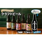 クラフトビール 12本セット aiai