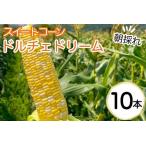 野菜 朝採れ とうもろこし 10本