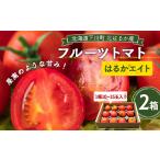 令和8年産 フルーツトマト はるかエイト 2箱
