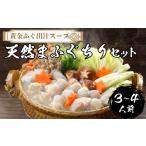 ふるさと納税 ふぐ 天然 まふぐ ちり セット 3~4人前 冷凍 【極み！黄金 ふぐ出汁 スープ 】 ふぐ鍋 IF003 山口県下関市