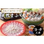 ふるさと納税 ふぐ 天然 まふぐ しゃぶしゃぶ ふぐちり セット 3~4人前 冷凍 IF004 山口県下関市