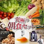旬の京野菜セット こしひかり等 野菜 定期便