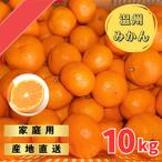 ふるさと納税 宮川早生みかんご家庭用 10kg箱入 | みかん 早生みかん 早生 訳あり わけあり 旬 柑橘 フルーツ 果物 果実 ミカン 産地直送 ※2.. 和歌山県美浜町