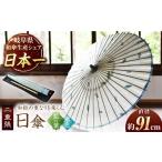日傘 二重張 藍の葉×水色 かさ 手作り 40本骨