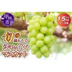 ふるさと納税 【ふるなびWEEK対象】旬の採れたて大粒シャインマスカット1.5kg以上(2〜3房)【令和7年 2025年発送】FN-Limited(HO)B13-150 【.. 山梨県甲州市