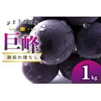 A-1159 朝採れ種なしぶどう巨峰 1kg