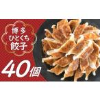 ふるさと納税 Z263.福岡・博多の味『博多一口餃子』４０個入（４０個入×１Ｐ） 福岡県新宮町