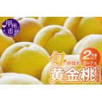ふるさと納税 桃 数量限定！旬の朝採れたて黄金桃 2kg以上（5〜7玉）【2026年発送】（HO）B12-151 フルーツ 山梨県甲州市