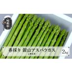 春採り 銀山アスパラガス Lサイズ 2kg