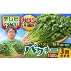 パクチー好きのためのパクチー 500g