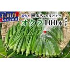 ふるさと納税 希少！黒島さんの採れたてオクラ100本セット（特別栽培、栽培期間中農薬不使用）3月〜順次発送【 沖縄県 石垣市 沖縄 石垣 石垣島 .. 沖縄県石垣市