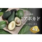 fu.... налог рисовое поле . авокадо черный venus 4 штук входит префектура Аичи рисовое поле . город 