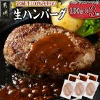宮崎牛100%使用の生ハンバーグ 都城産宮崎牛