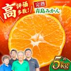 青島 みかん 約5kg